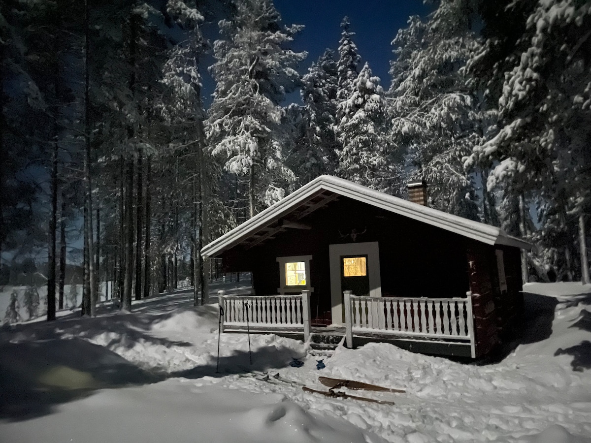The cabin is surrounded by tall trees blanketed in snow, with a warm glow emanating from the windows. A covered porch leads to the entrance, inviting guests into a rustic setting. The peaceful winter landscape enhances the cabin's secluded charm.
