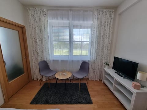 Beautiful apartment near the center of Tábor