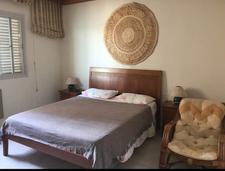 الجناح الرئيسي