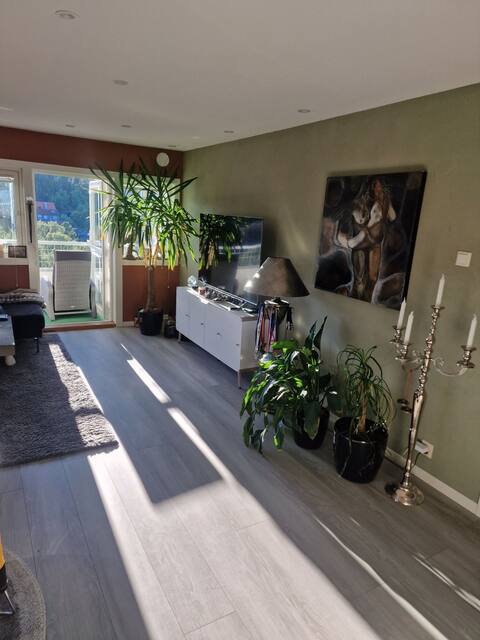 Apartment for 4 people on Byåsen