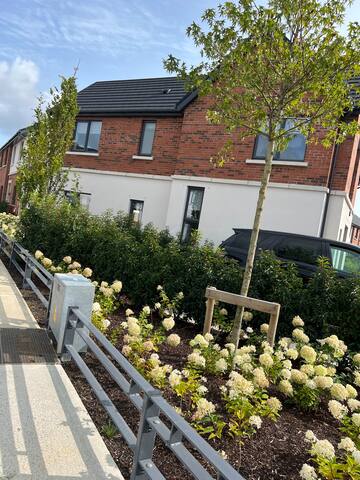 Vip family house gallery image 5