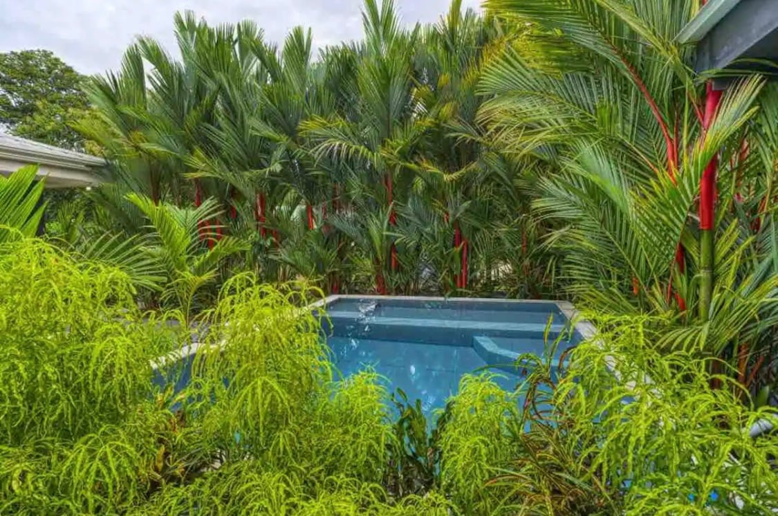 A private pool is nestled among lush greenery, surrounded by tall palm trees and dense foliage. The clear water of the pool reflects the vibrant colors of the surrounding plants, creating a serene and tranquil outdoor environment.