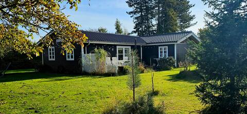 Cozy, comfortable and spacious year-round holiday home