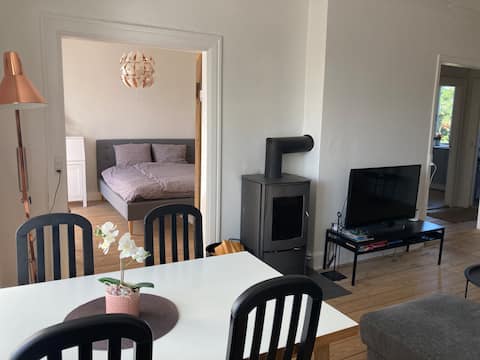 Beautiful large villa apartment in Lyngby