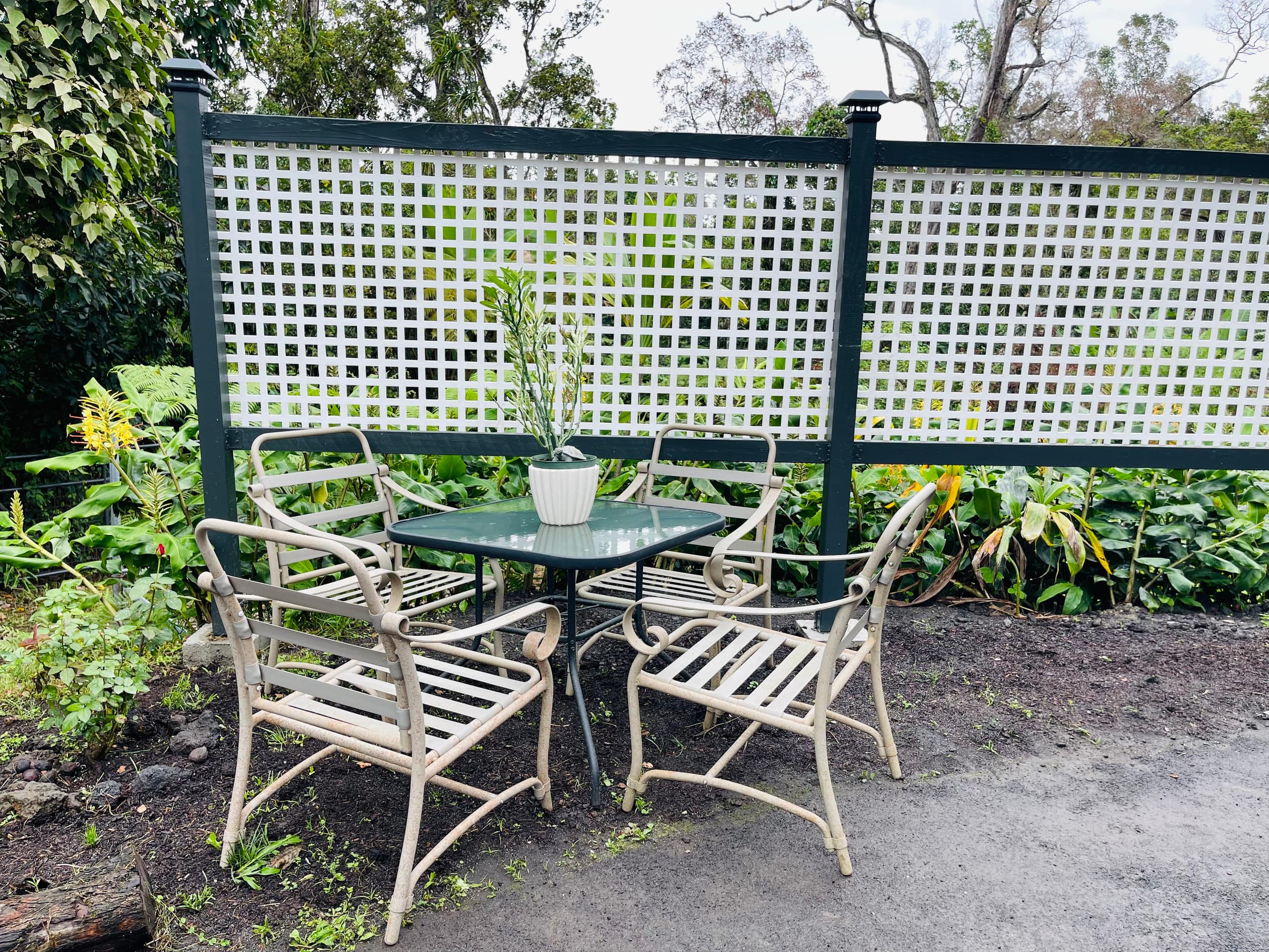 Tropical Forest Retreat - Photo 9