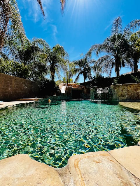 Tropical Desert Oasis