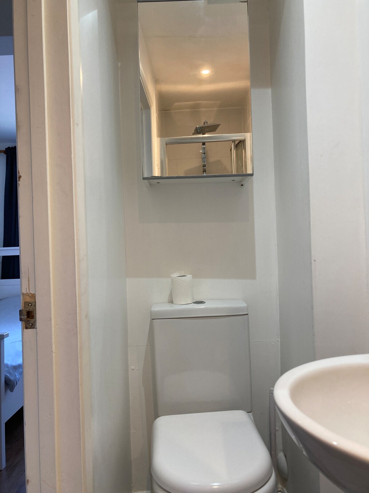 A compact en suite bathroom features a toilet and a small sink with modern fixtures. A mirror above the sink reflects the well-lit space, and a roll of toilet paper is neatly placed nearby. Light hardwood flooring complements the clean, white walls.