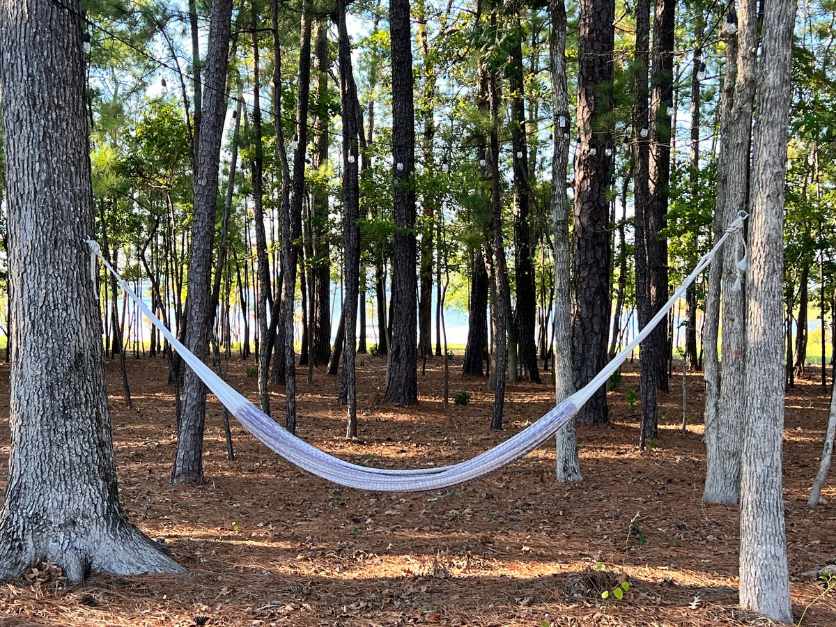 A hammock is hung between two trees, surrounded by tall evergreens. The forest floor is covered with pine needles, and sunlight filters through the leaves, creating a serene atmosphere. The distant view of water is visible beyond the trees.