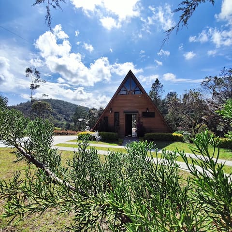 Alpine Cabin + Jacuzzi + Fireplace (private)
