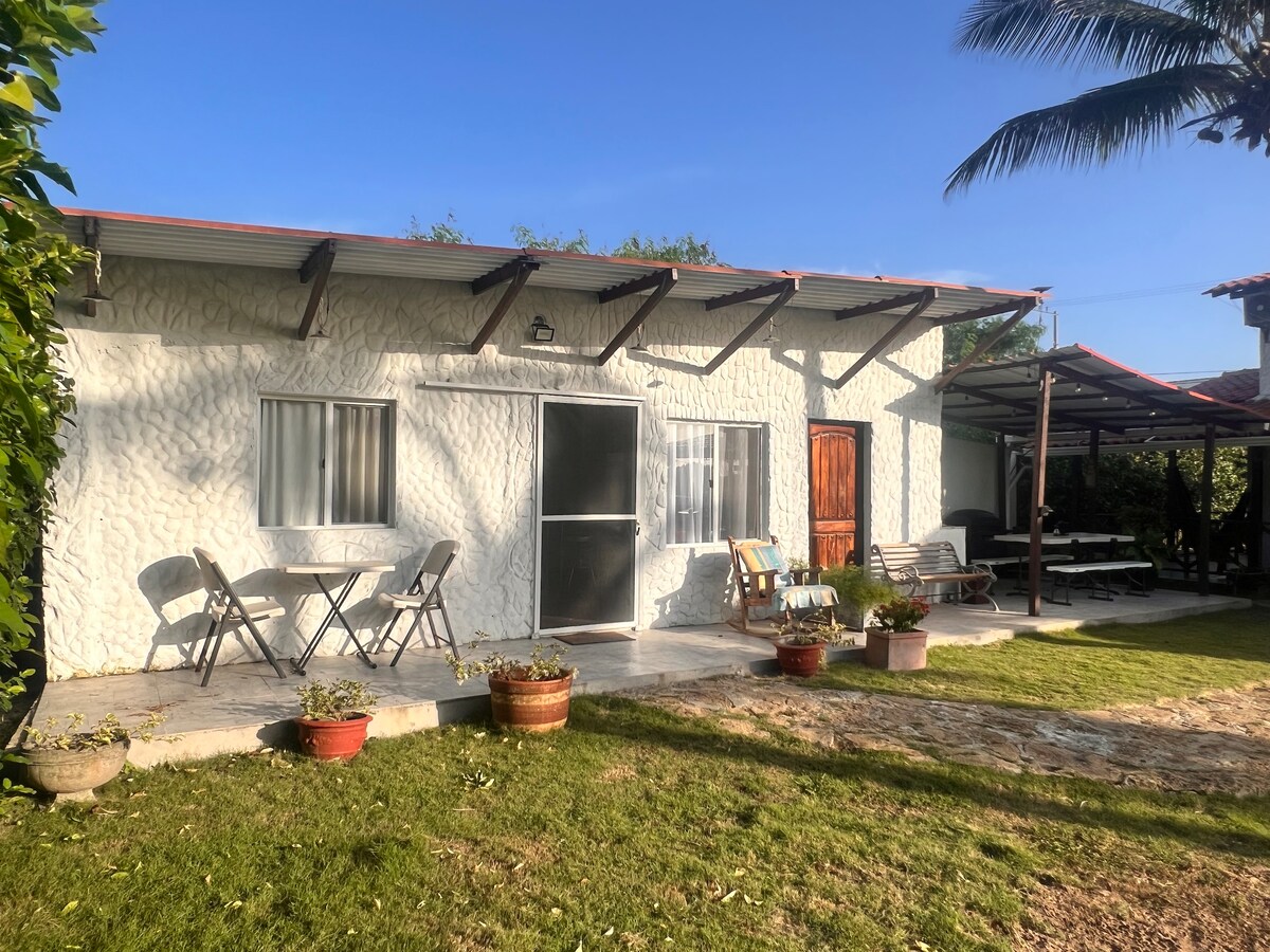 A single-story cabin is presented in a serene outdoor setting, featuring a white textured exterior. A small patio area includes two folding chairs and a table, surrounded by potted plants. Lush green grass and a shade-providing palm tree enhance the tranquil atmosphere.