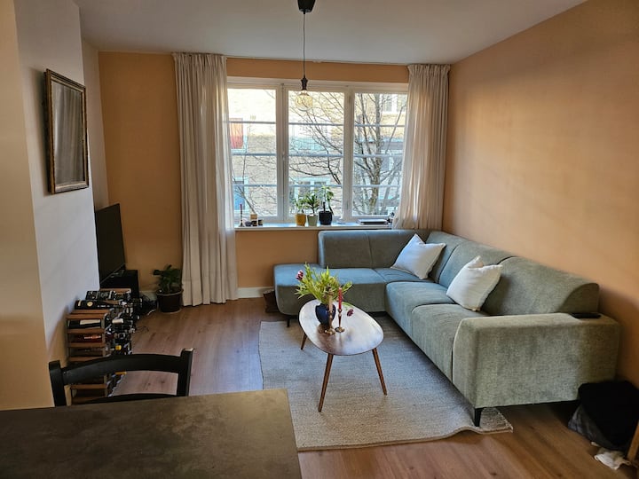 Spacious 1br Apt With Balcony! Recently Renovated - Amsterdam