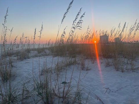 Top Airbnb: Sonoran Mermaid’s Escape in Gulf Breeze