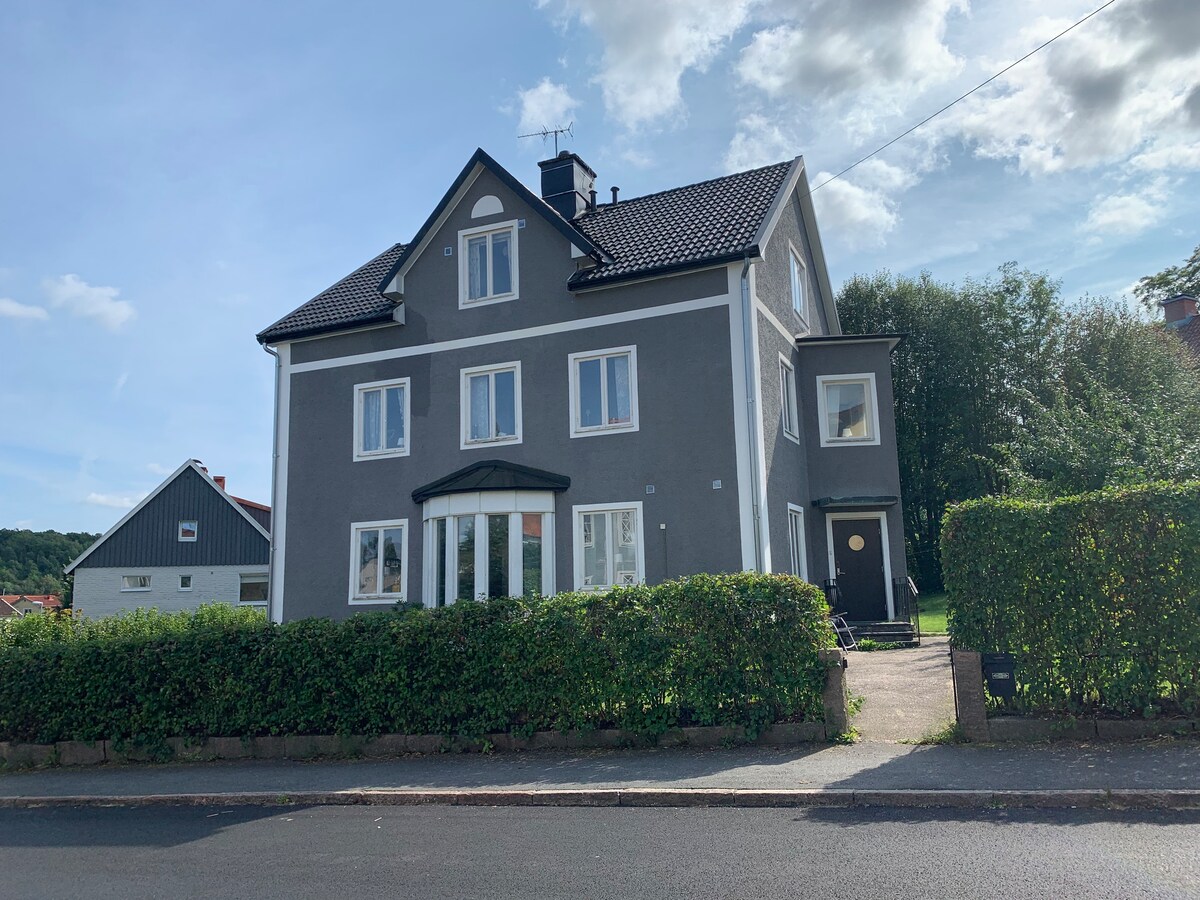 A three-story house with a modern gray facade is depicted. Large windows allow natural light to enter. A well-maintained hedge lines the front, providing a touch of greenery. The entrance features a door with a round window, enhancing the house's inviting appearance.