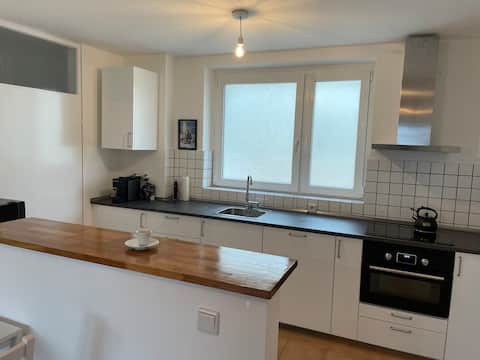 Large and bright apartment in Mainz (Uni-Nah)
