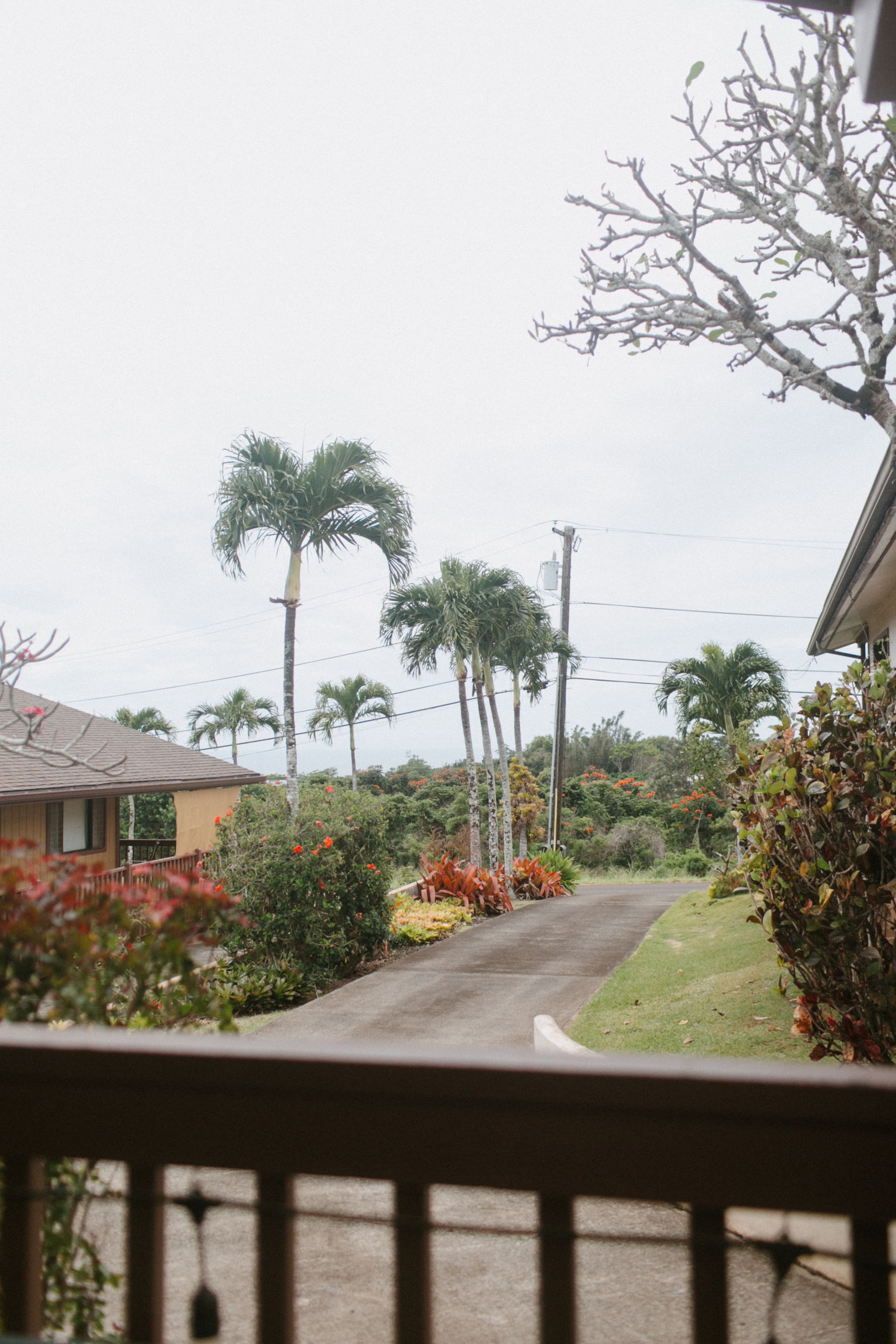 * Entire Cottage * Ocean View / TVNC #1242 - Photo 35