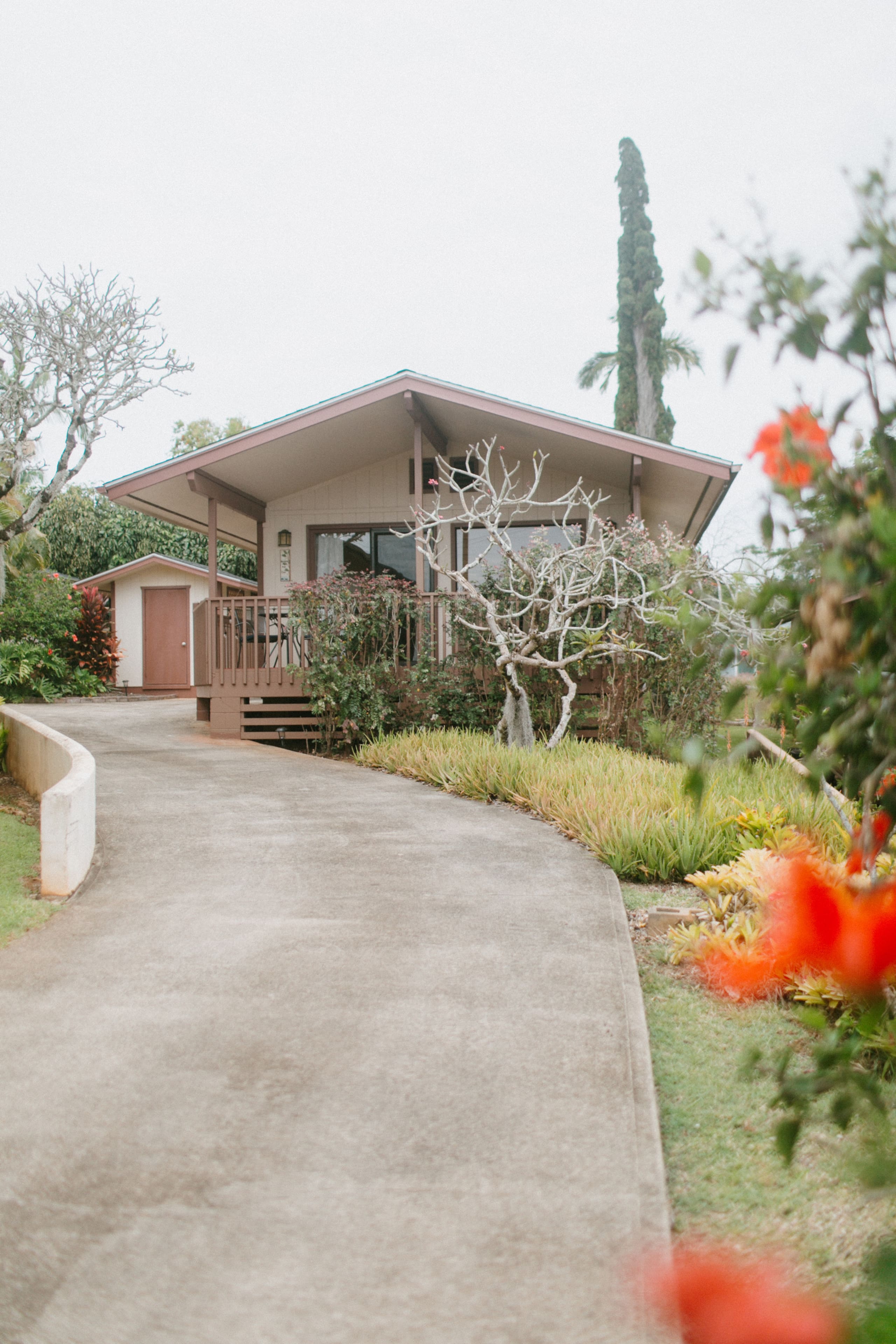 * Entire Cottage * Ocean View / TVNC #1242 - Photo 41
