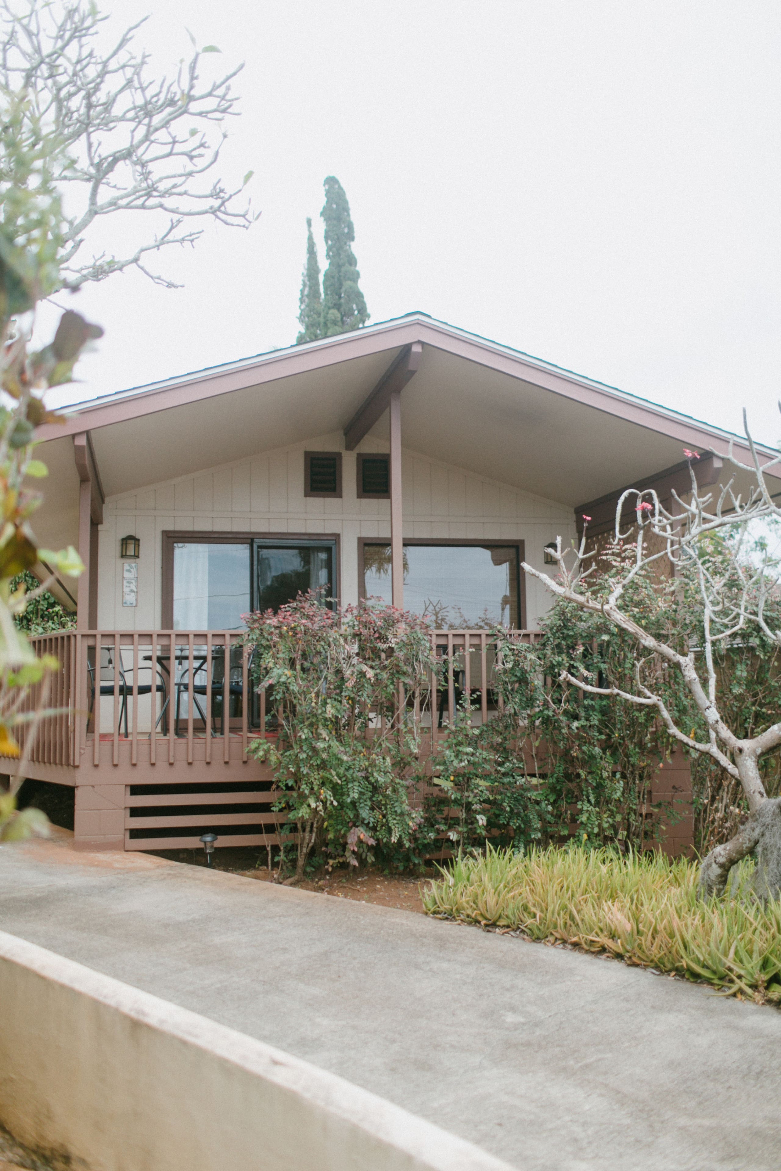 * Entire Cottage * Ocean View / TVNC #1242 - Photo 49