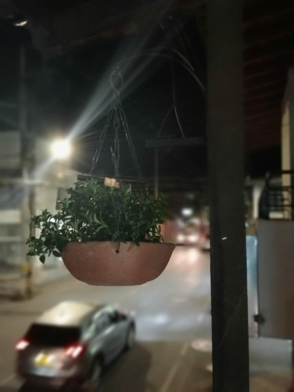 A hanging terracotta planter filled with lush green foliage is positioned near the edge of a balcony. The busy street below is faintly illuminated by streetlights, with a blurred view of a car passing by, conveying a sense of the neighborhood's vibrant activity.