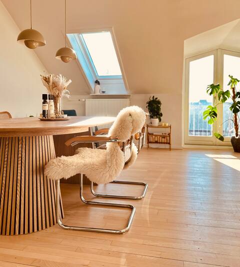 Cosy apartment in the city center