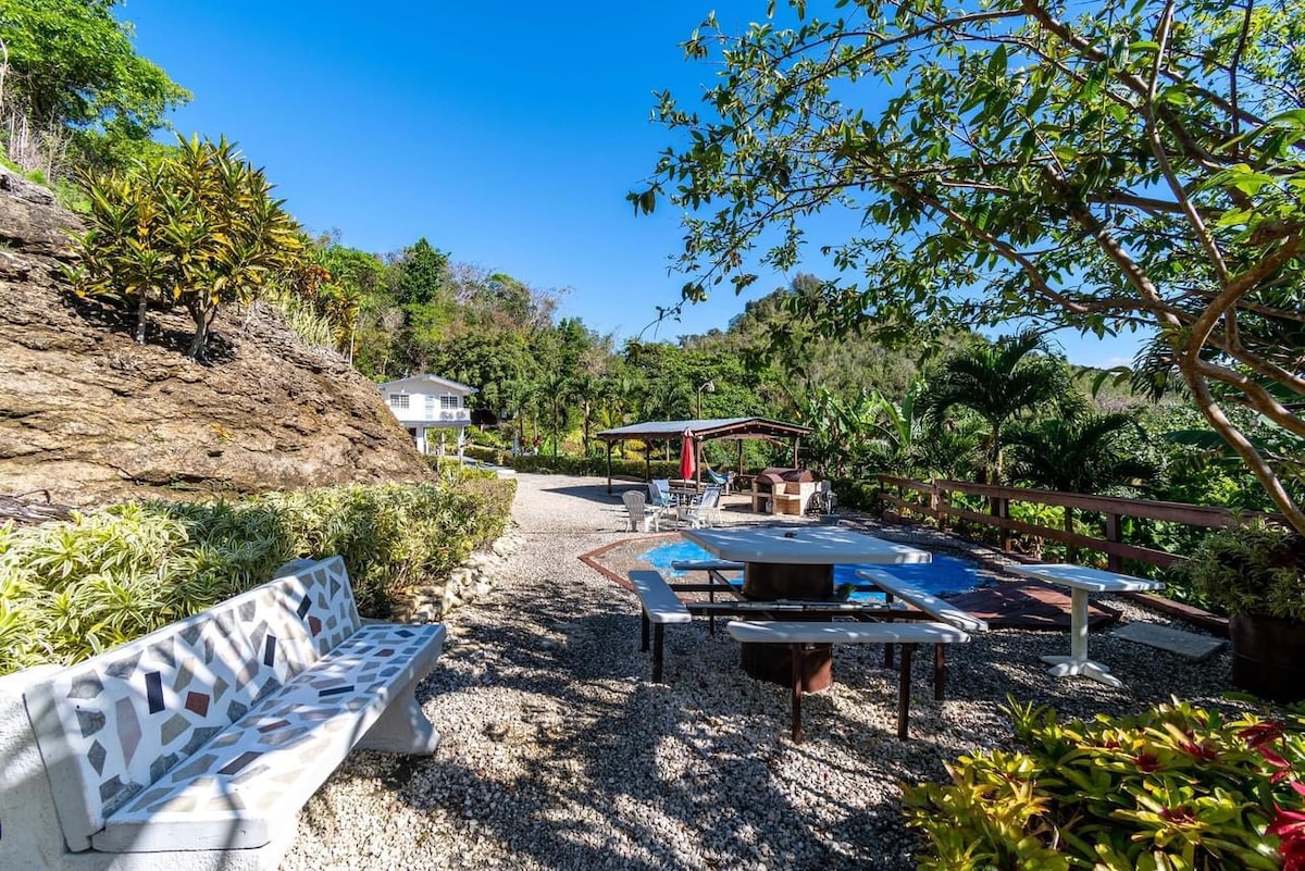A spacious outdoor area includes a flat stone patio with a swimming pool and a barbecue grill surrounded by vibrant greenery. Seating is available on a unique patterned bench, and shaded areas are provided by large trees. A clear blue sky ensures a bright atmosphere.