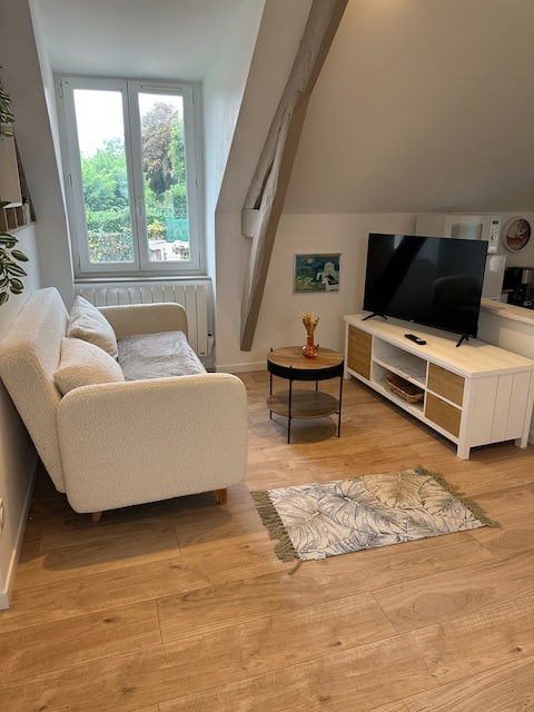Successful Airbnb property: Studio near the bowling alley and 24-hour circuit mans in Sarthe