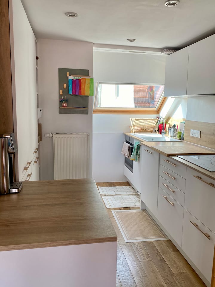 Chambre Agréable Proche Centre Strasbourg - Strasbourg