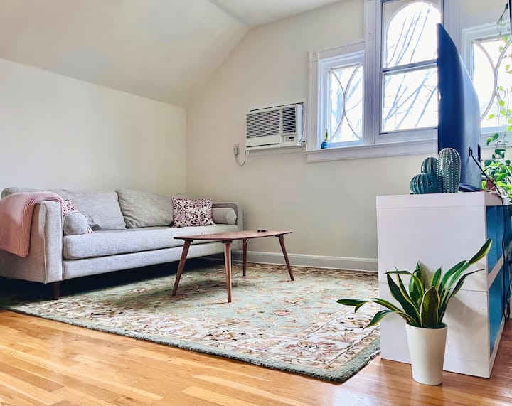 One Bedroom Gem — Private Bath And Kitchen - Brooklyn, NY