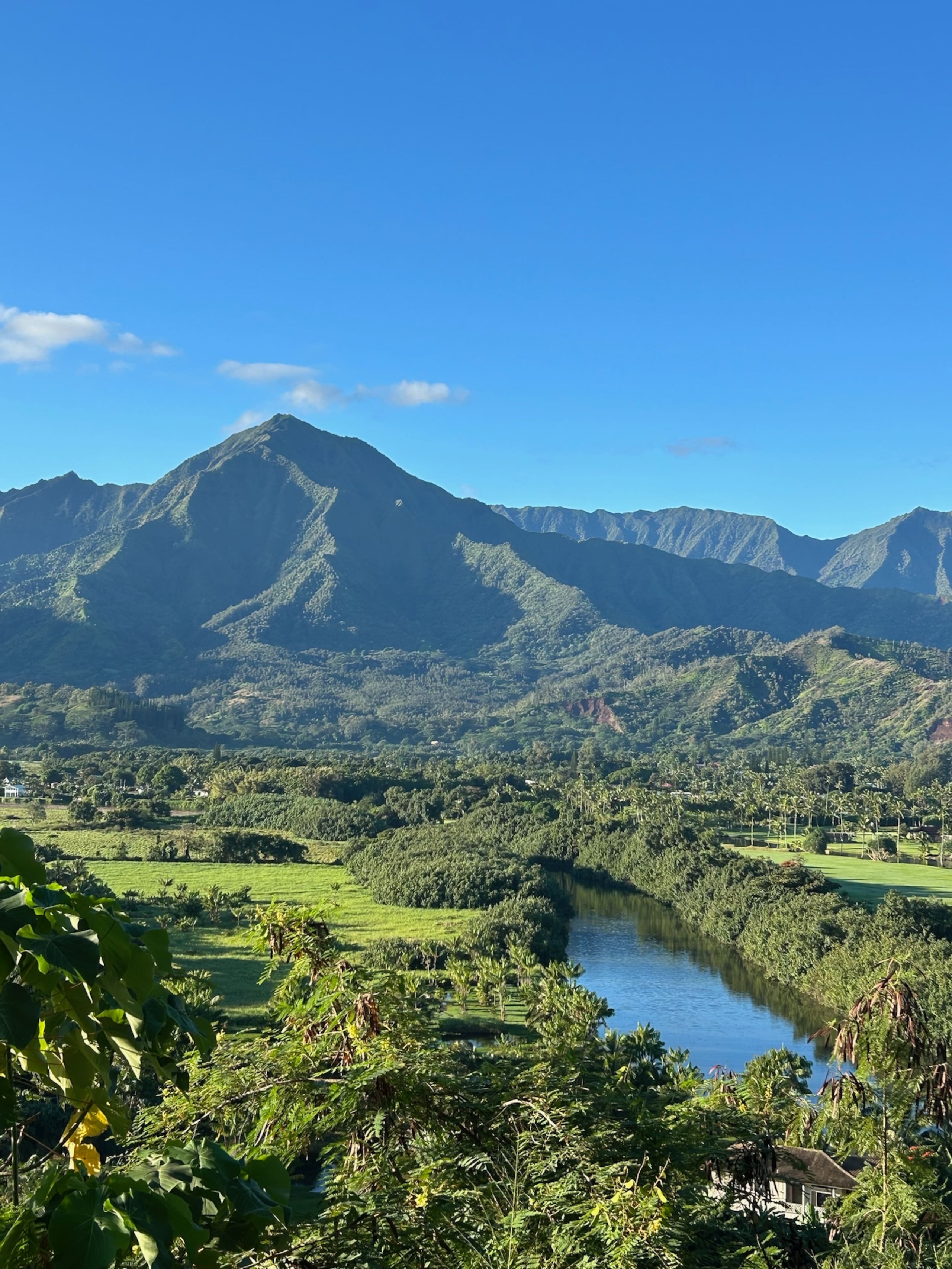 Home in Princeville · ★5.0 · 2 bedrooms · 2 beds · 2.5 baths - Image 64