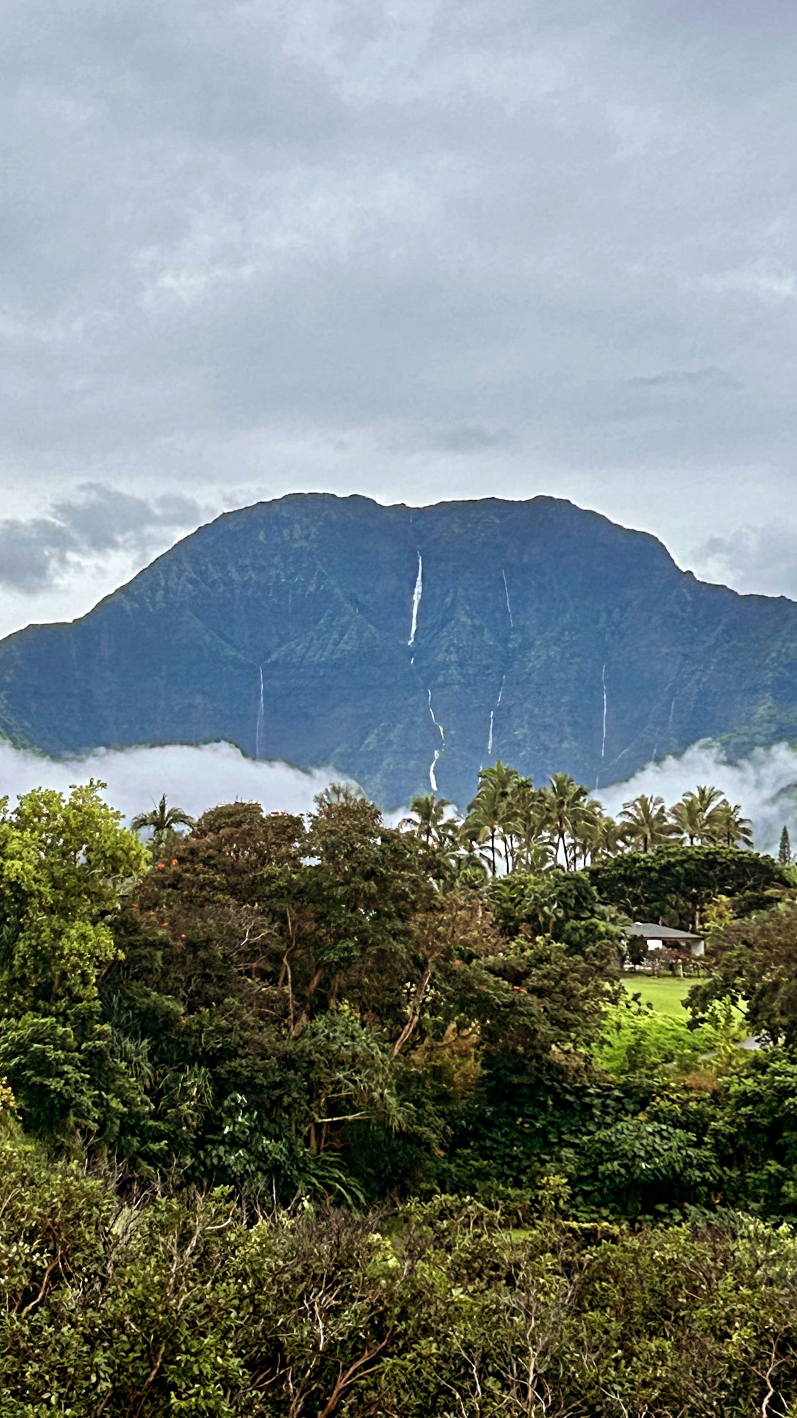 Home in Princeville · ★5.0 · 2 bedrooms · 2 beds · 2.5 baths - Image 36