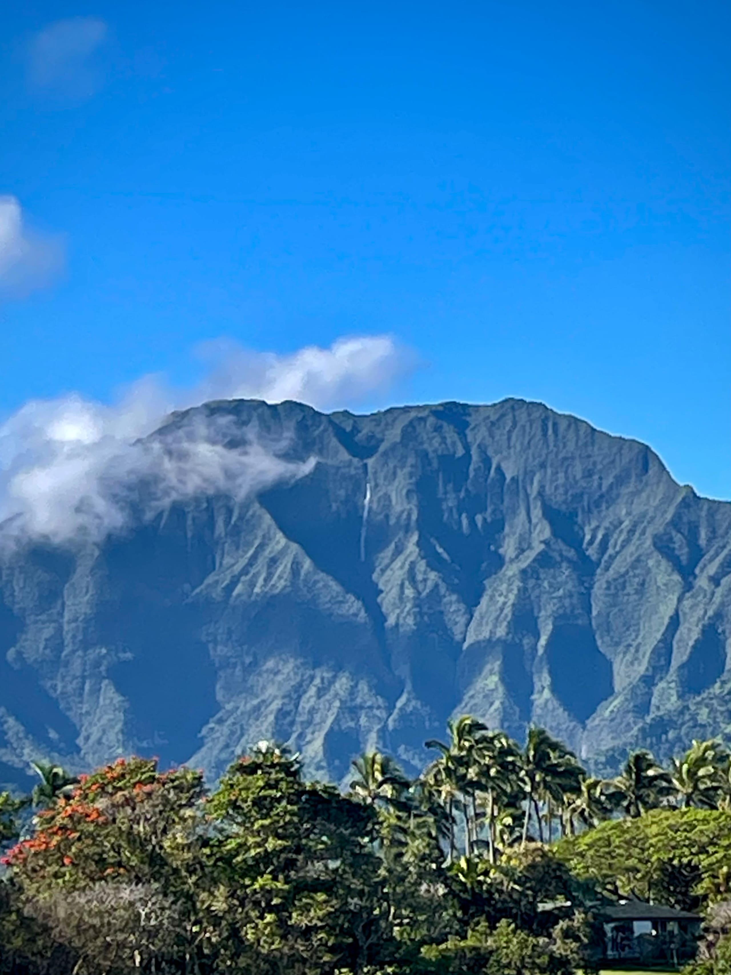 Home in Princeville · ★5.0 · 2 bedrooms · 2 beds · 2.5 baths - Image 16