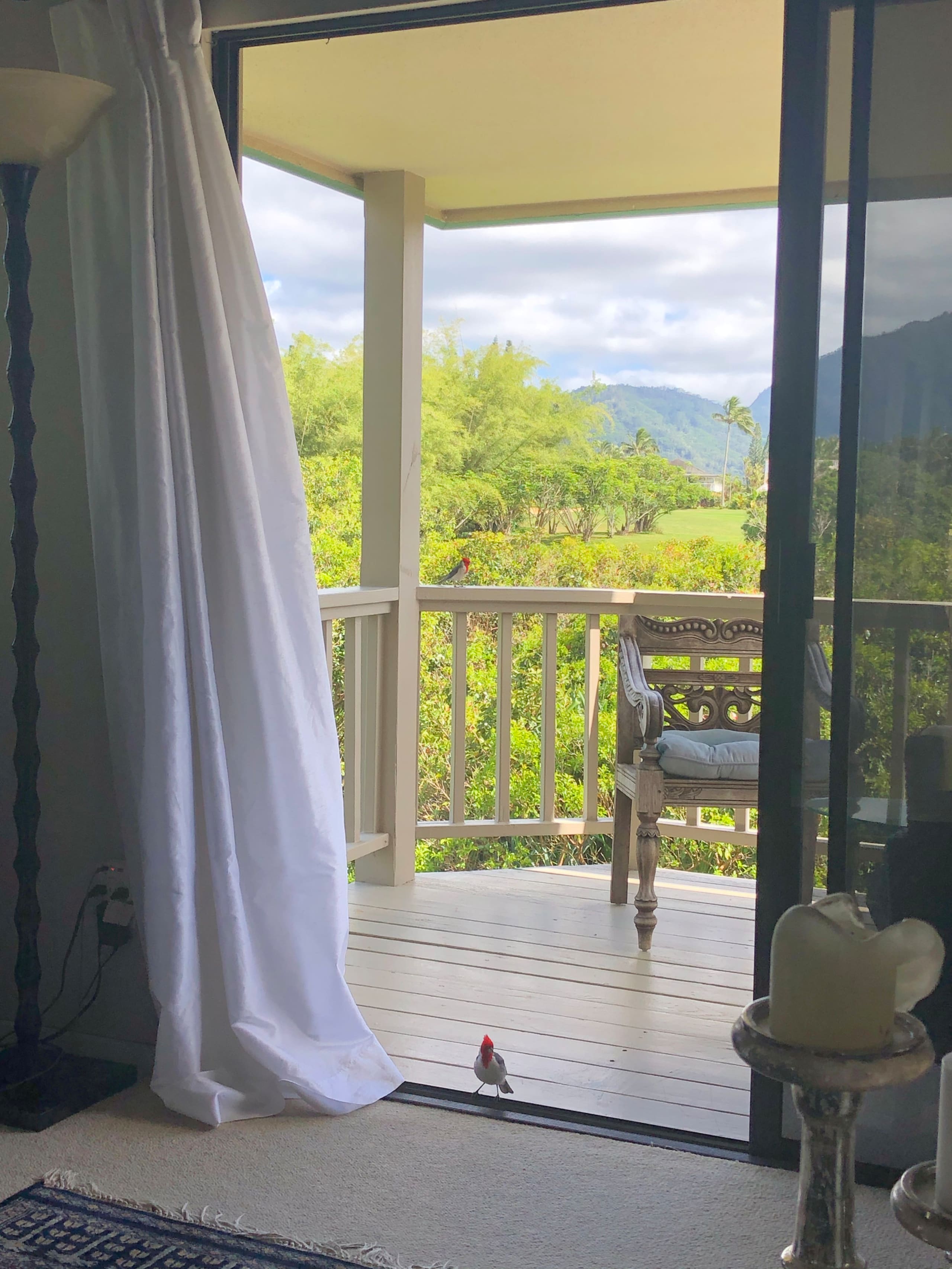 Home in Princeville · ★5.0 · 2 bedrooms · 2 beds · 2.5 baths - Image 35