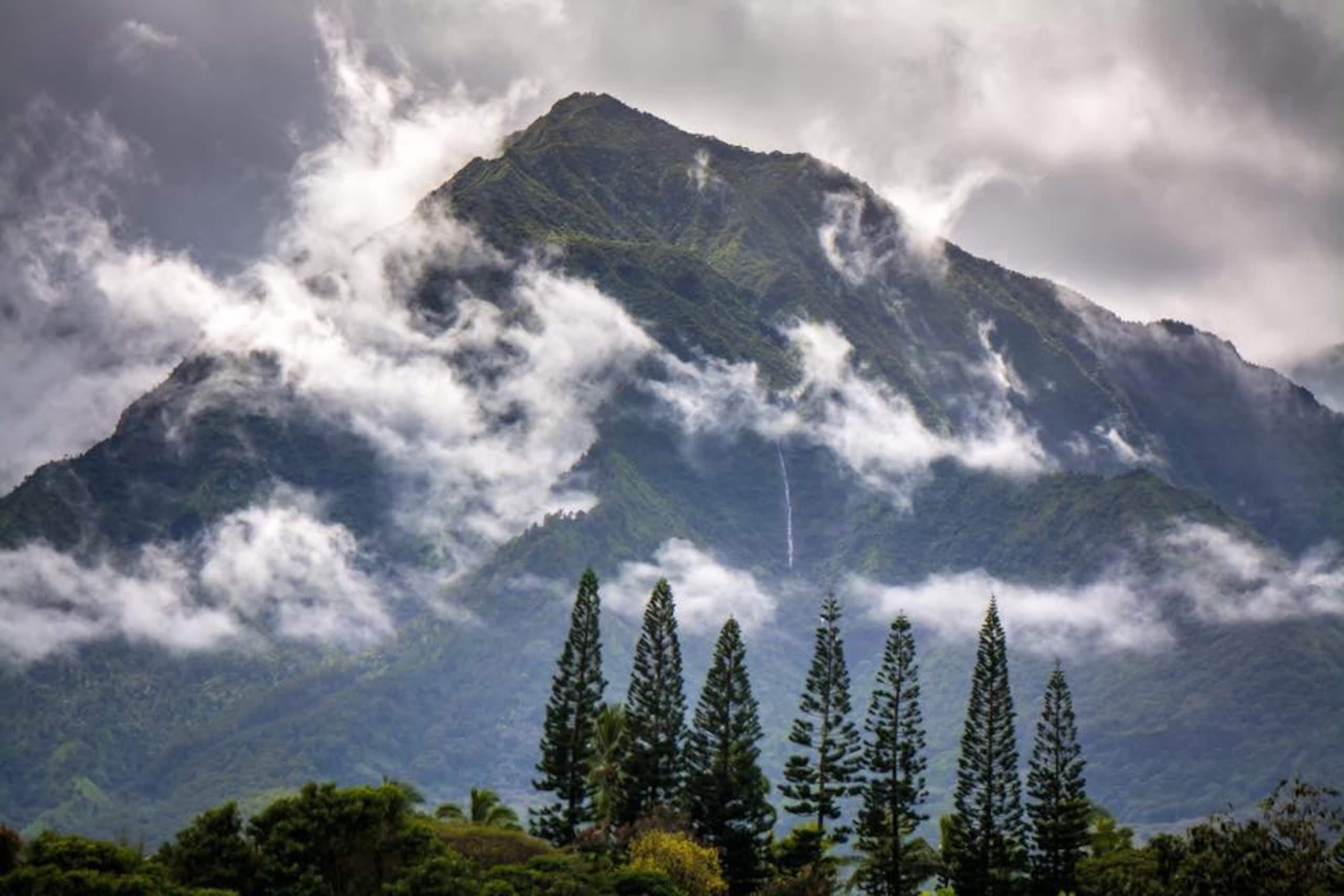 Home in Princeville · ★5.0 · 2 bedrooms · 2 beds · 2.5 baths - Image 34