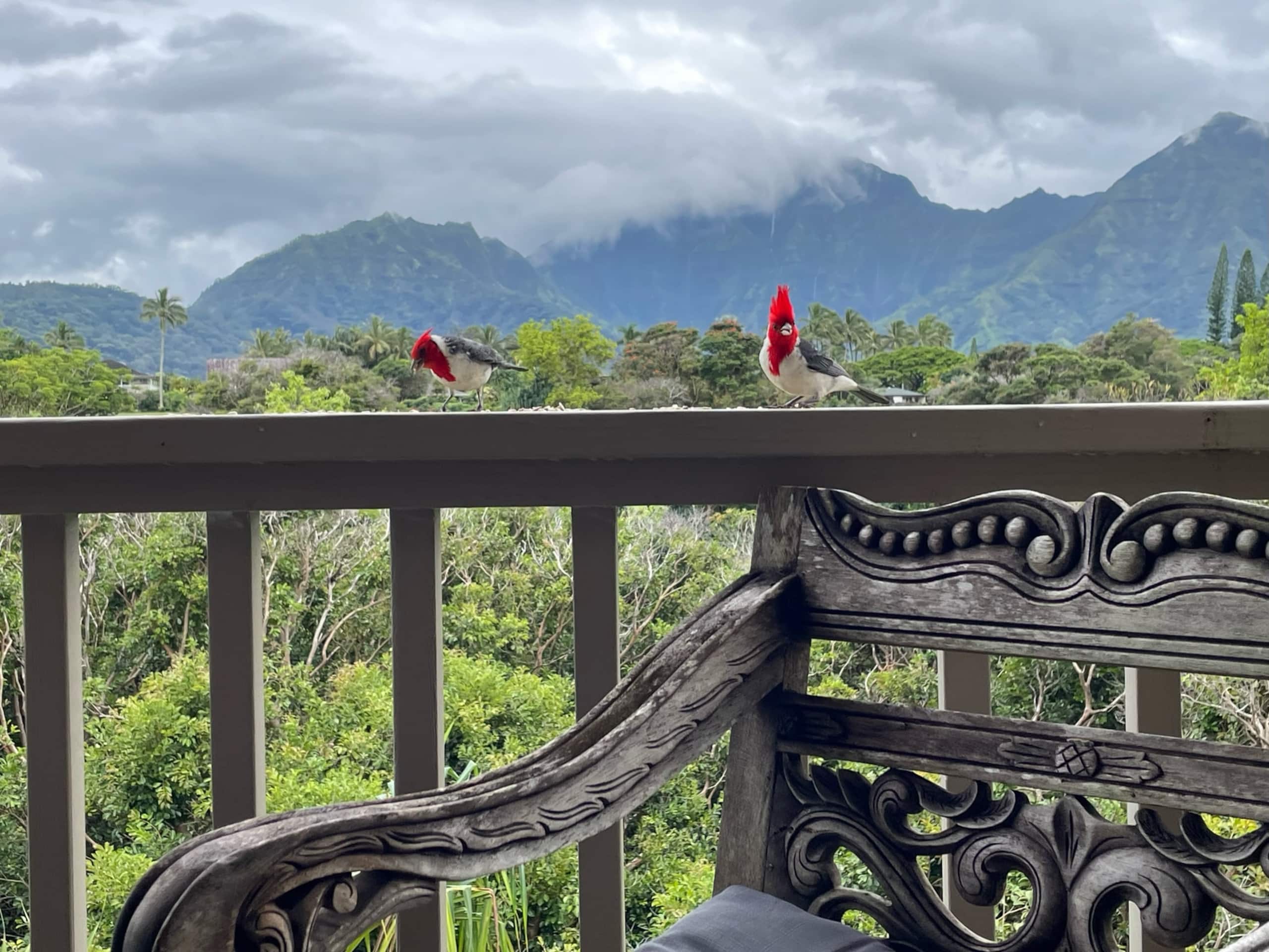 Home in Princeville · ★5.0 · 2 bedrooms · 2 beds · 2.5 baths - Image 4