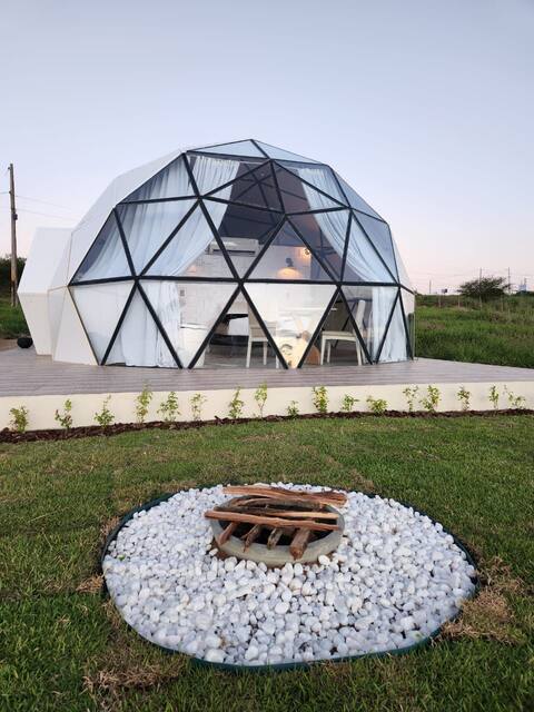 Loft Domo