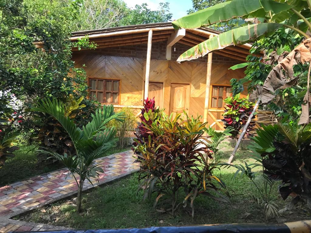 A cabin made of natural materials is surrounded by lush greenery and colorful plants. A pathway of brick leads to the entrance, flanked by tropical foliage and flowering shrubs, inviting guests to explore the serene environment.