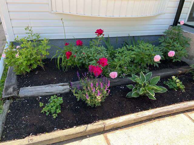 A Spacious & Quiet Retreat gallery image 4