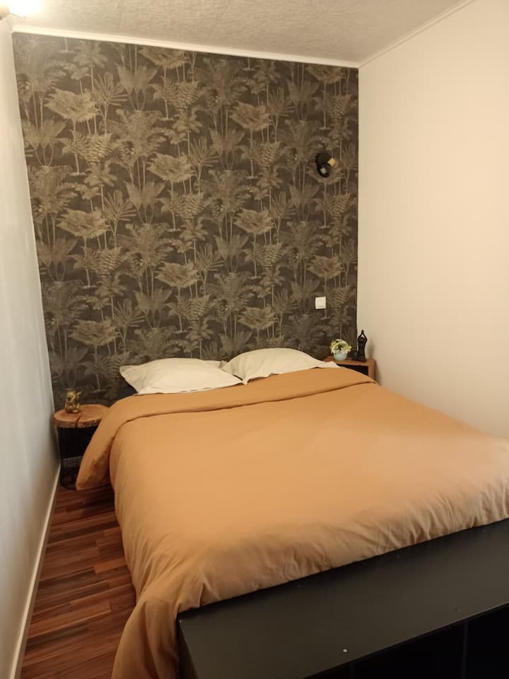 Habitación 2