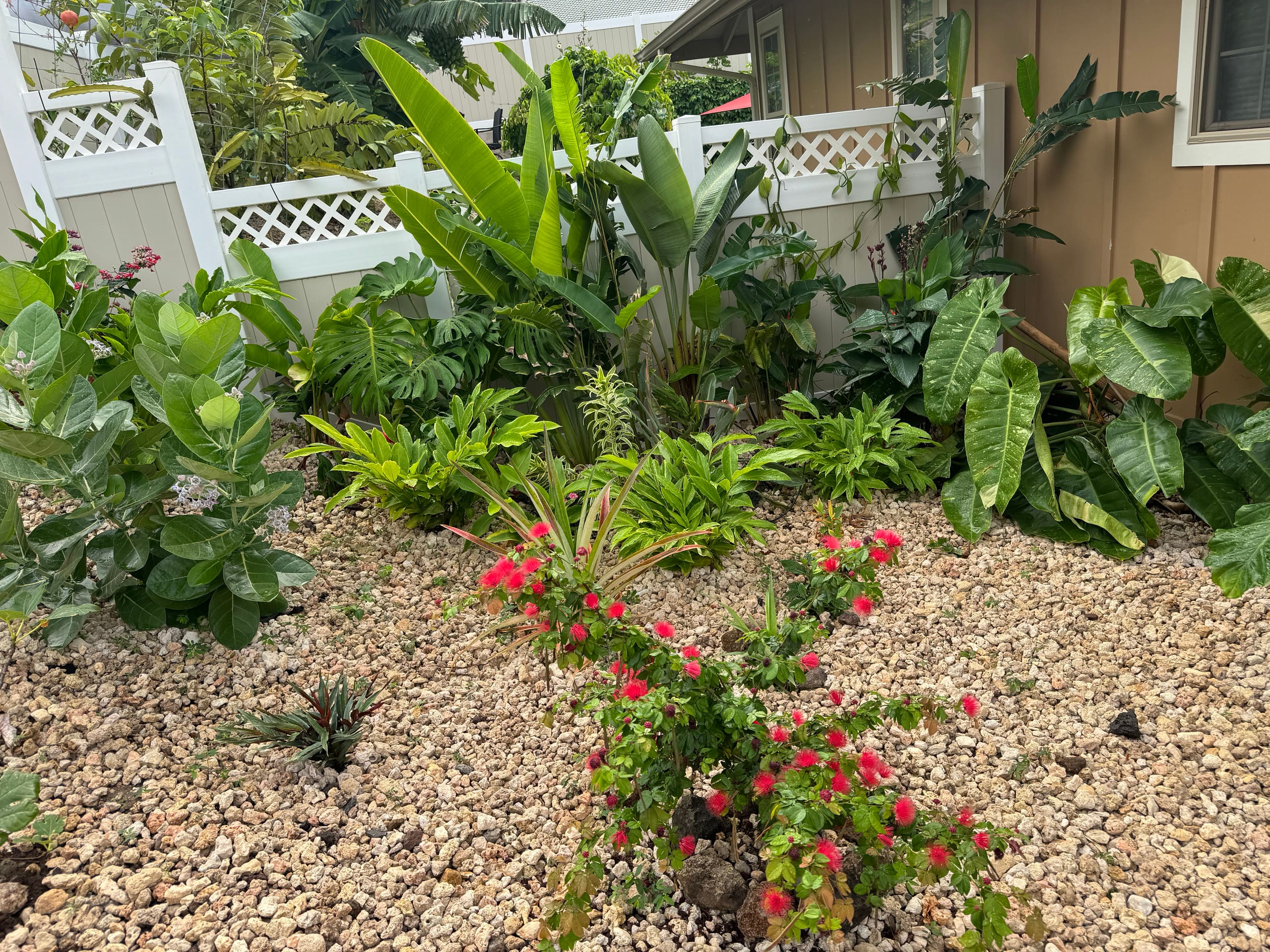 Home in Waianae · ★4.97 · 4 bedrooms · 6 beds · 2.5 private baths - Image 59