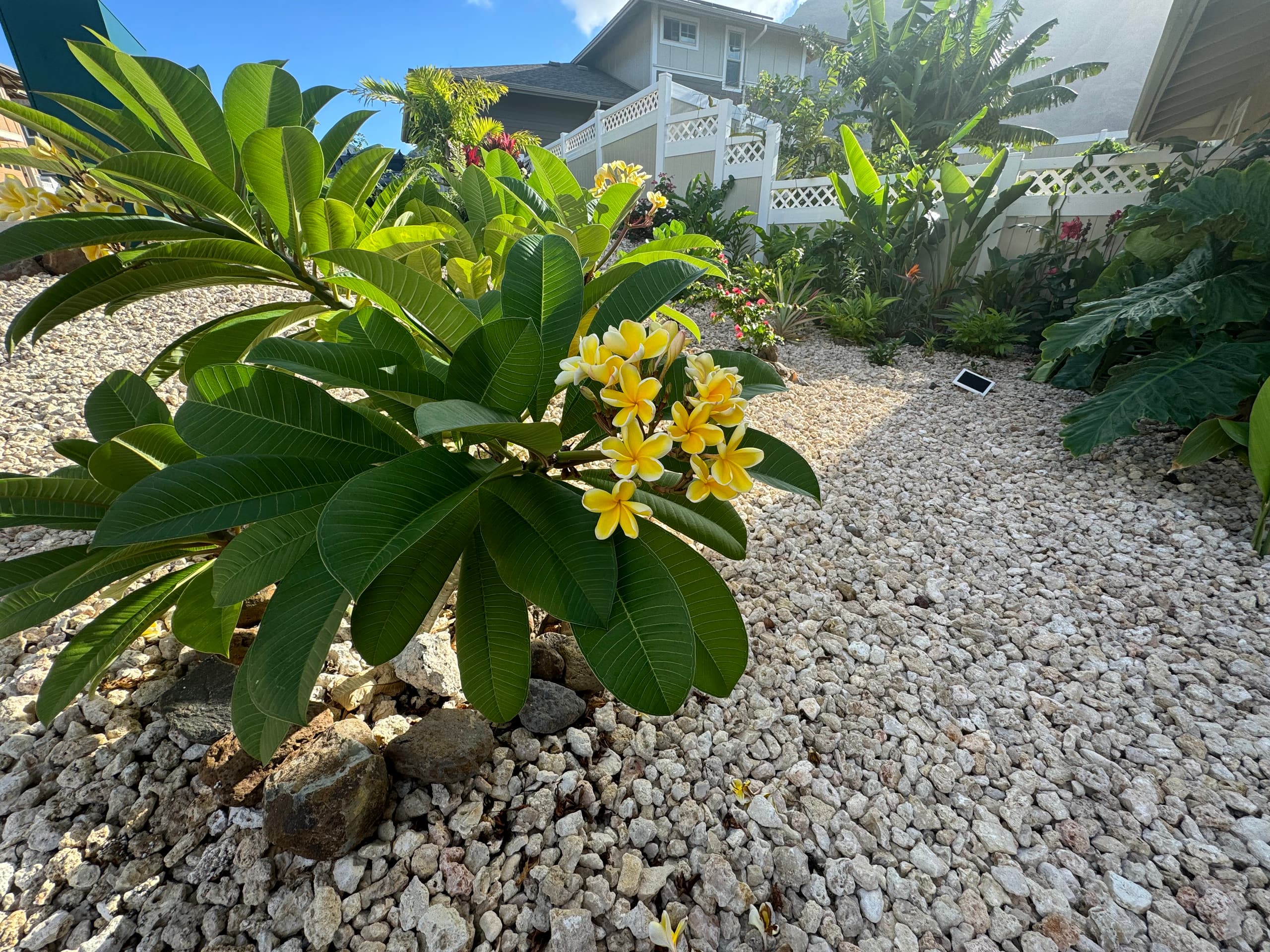 Home in Waianae · ★4.97 · 4 bedrooms · 6 beds · 2.5 private baths - Image 70
