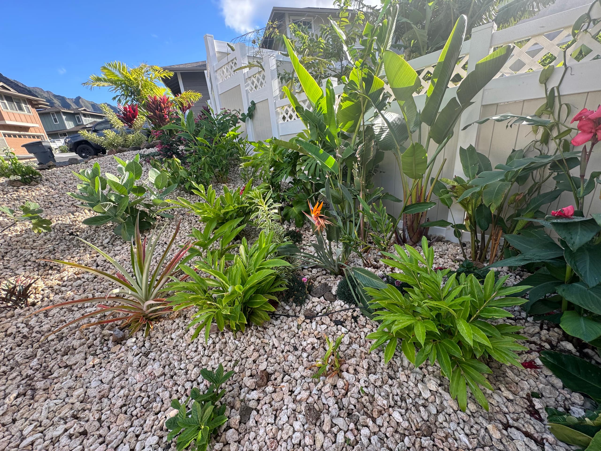 Home in Waianae · ★4.97 · 4 bedrooms · 6 beds · 2.5 private baths - Image 58