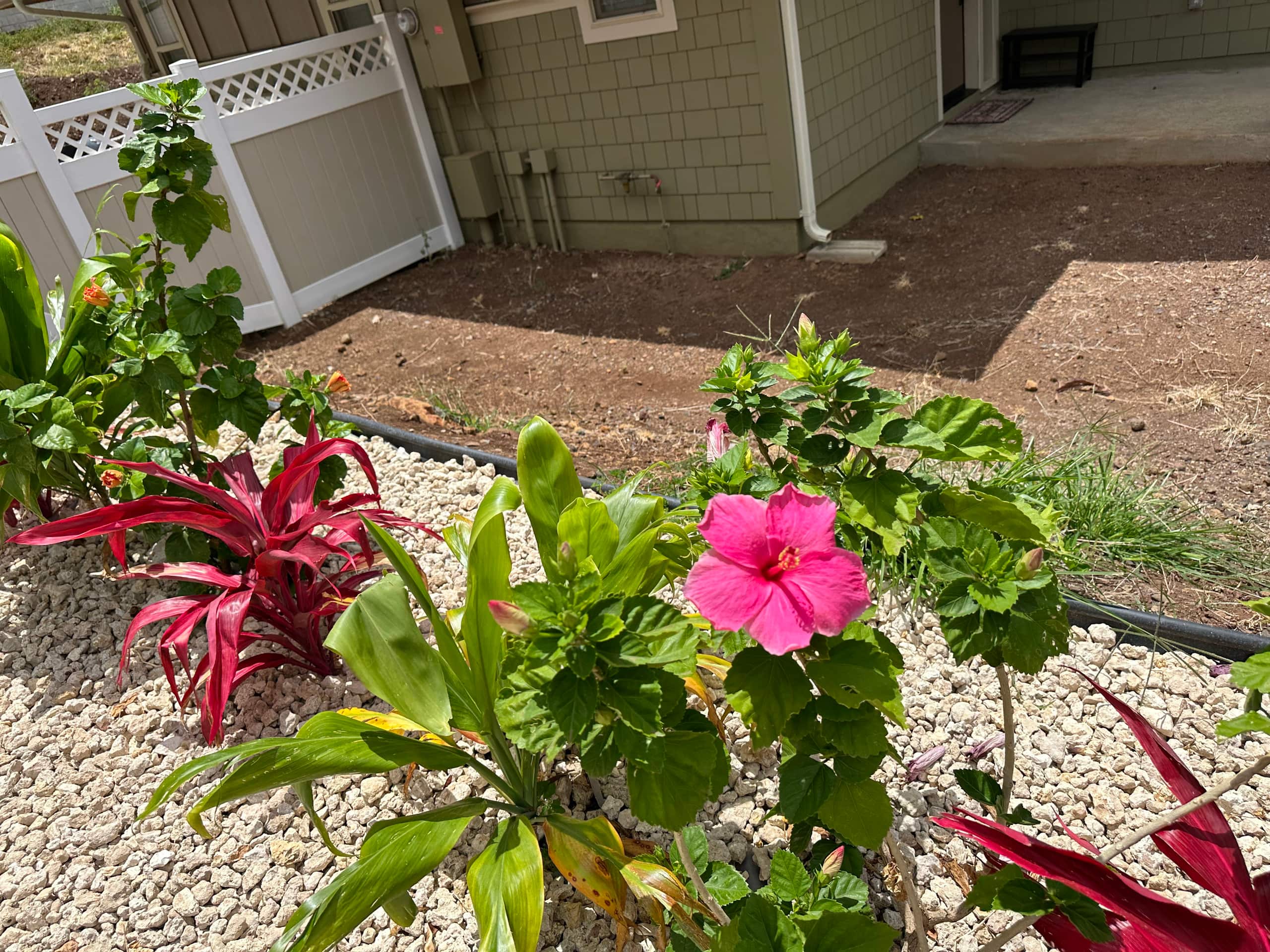 Home in Waianae · ★4.97 · 4 bedrooms · 6 beds · 2.5 private baths - Image 91