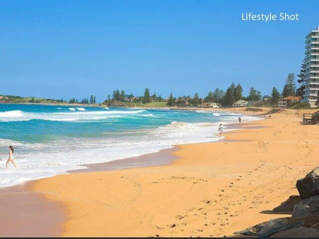 Stunning 4 Bed Home + S/C Apt. by the Lake & Surf gallery image 4