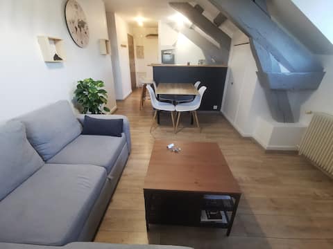 Cozy Apt 5 min from city center / Fiber / Netflix