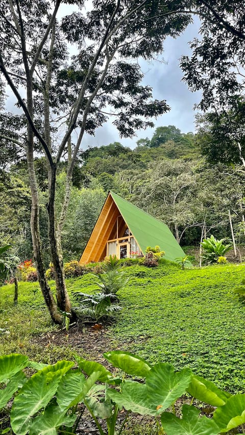 La Ardilla Roja, house-cabin