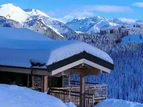 Stunning chalet Châtaigne