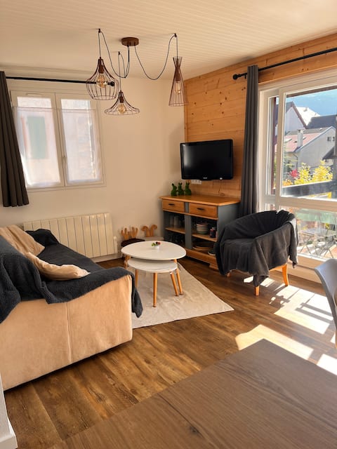 Top performing Airbnb: Le Cosy des Lilas, village center in Villard De Lans
