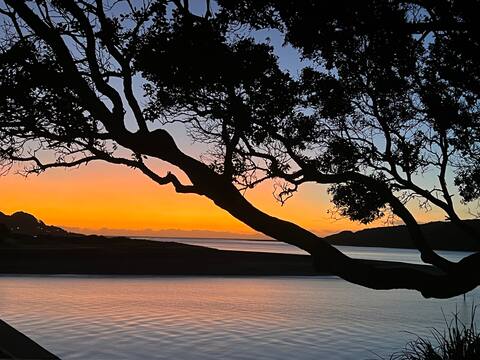 Oceanview Raglan Town Sleeps 30
