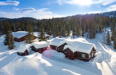 Popular Airbnb listing: The charging space is rented out in Gausdal