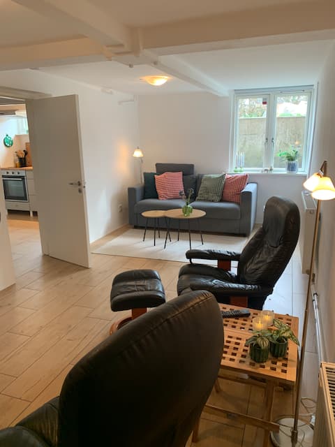 Cozy, newly renovated basement apartment with parking