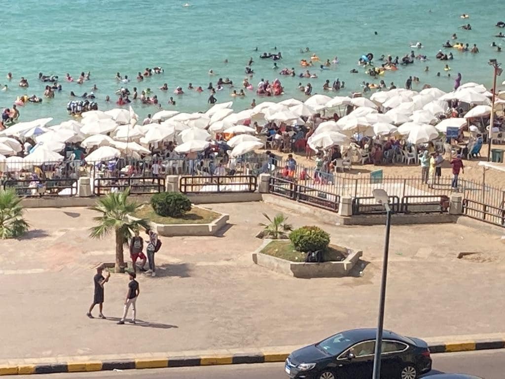 A vibrant beach scene shows numerous umbrellas providing shade to sunbathers. People are seen enjoying the water, while a paved walkway is lined with palm trees and small shrubbery. A few individuals stroll along the walkway adjacent to parked vehicles.